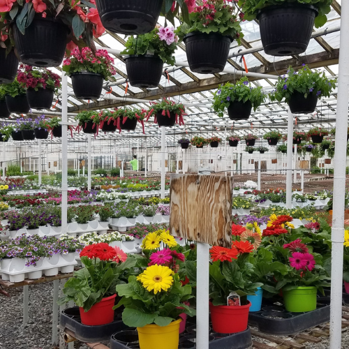 South Hills garden center