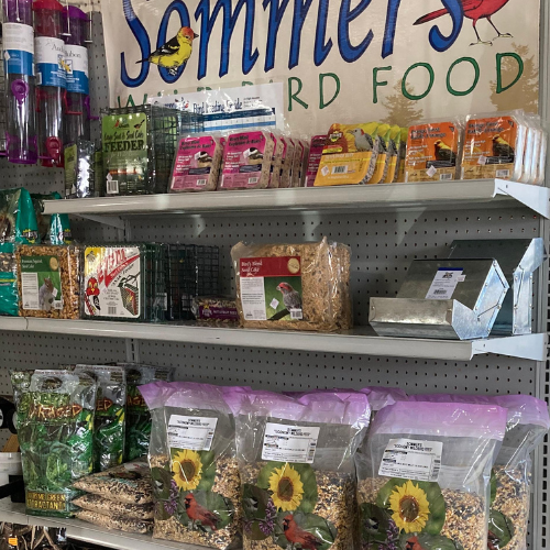 A store shelf displays bird feeders, seeds, and accessories. Bright packaging features birds and sunflowers, evoking a vibrant and inviting atmosphere.