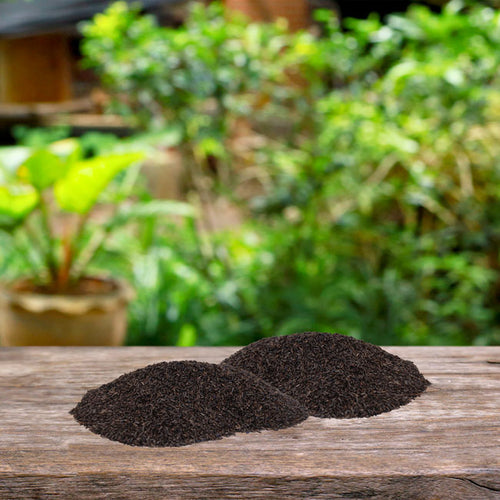 Best Nest Nyjer Seed (Thistle Seed)