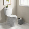 American Standard Champion®4 Two-Piece 1.28 gpf/4.8 Lpf Chair Height Elongated Toilet with Seat