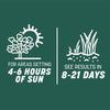 Pennington Smart Seed Sun and Shade Grass Seed and Fertilizer Mix