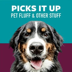 Scotch-Brite™ Pet Hair Roller