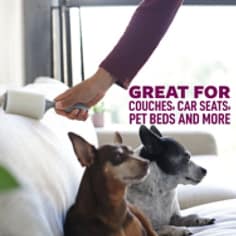 Scotch-Brite™ Pet Hair Roller