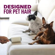 Scotch-Brite™ Pet Hair Roller