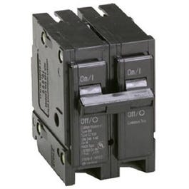 Interchangeable Circuit Breaker, Double Pole, 100-Amp