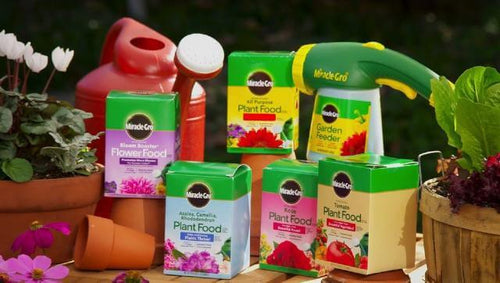 Miracle-Gro® Water Soluble Rose Plant Food