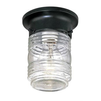 Hardware House 544742 Jelly Jar Style Outdoor Ceiling Light Fixture, Black ~ Approx 6