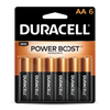 Duracell Coppertop AA Alkaline Batteries